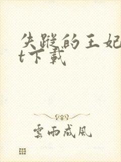 失踪的王妃txt下载