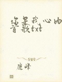 你是我心内的一首歌txt