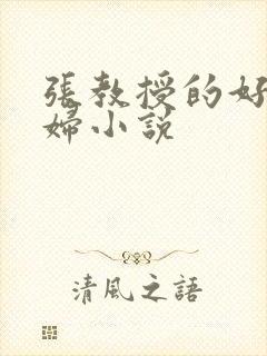 张教授的好儿媳妇小说