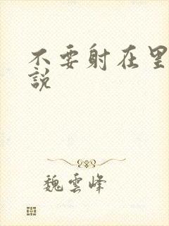 不要射在里面小说