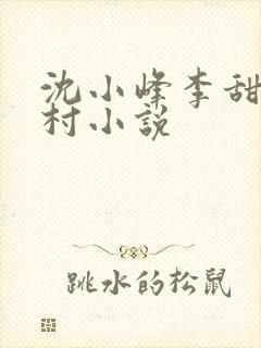 沈小峰李甜的乡村小说
