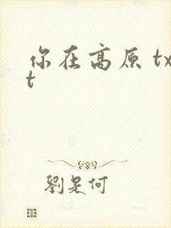 你在高原 txt