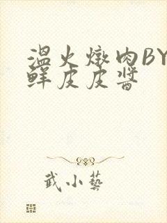 温火炖肉BY海鲜皮皮酱