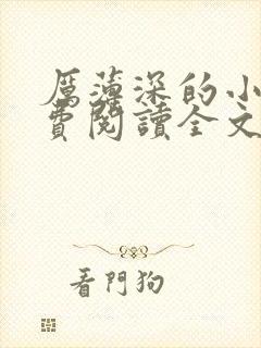 厉薄深的小说免费阅读全文