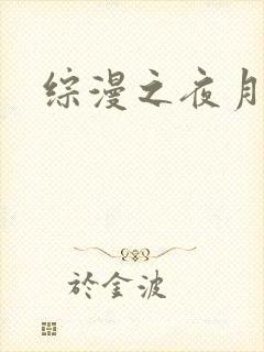 综漫之夜月
