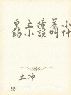 皇上撞着小公主的小说叫什么