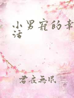 小男宠的幸福生活