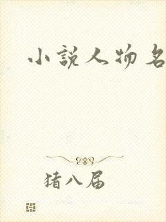 小说人物名