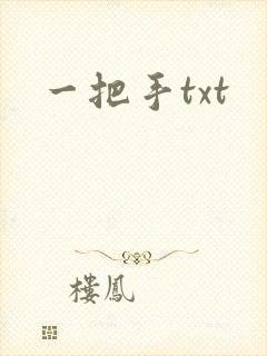 一把手txt
