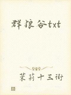 群狼谷txt