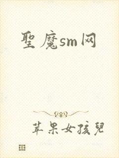 圣魔sm网