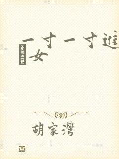 一寸一寸进入小姪女