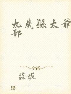 九岁县太爷第二部