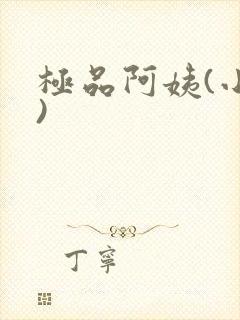 极品阿姨(小说)