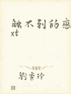 触不到的恋人txt