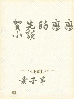 贺先的恋恋不忘小说