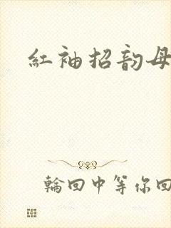 红袖招韵母攻略