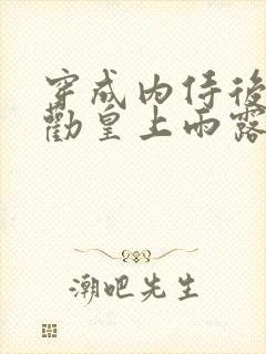 穿成内侍后总在劝皇上雨露均沾