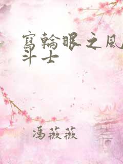 写轮眼之风流圣斗士