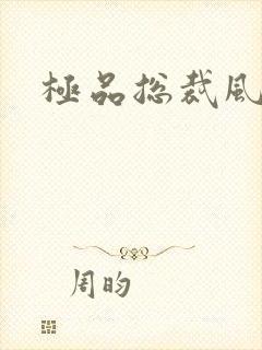 极品总裁风流录