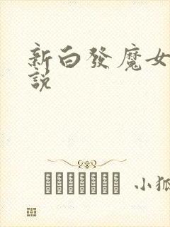 新白发魔女传小说