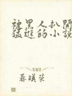 被黑人扒开双腿猛进的小说