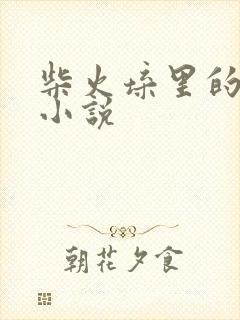 柴火垛里的疯狂小说