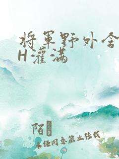 将军野外含公主H灌满