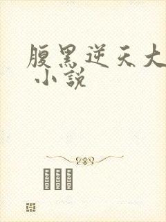 腹黑逆天大小姐 小说