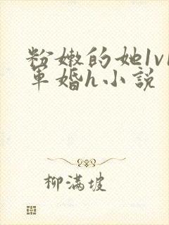 粉嫩的她1v1军婚h小说