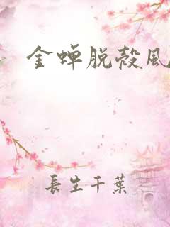 金蝉脱壳风弄