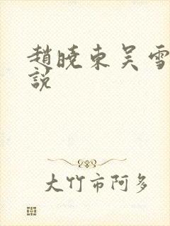 赵晓东吴雪晴小说