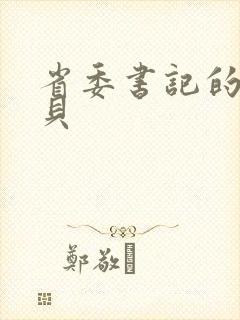 省委书记的小宝贝