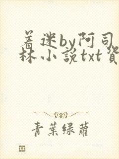 着迷by阿司匹林小说txt资源