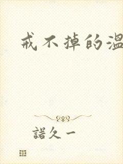 戒不掉的温柔