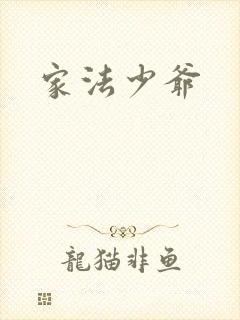 家法少爷