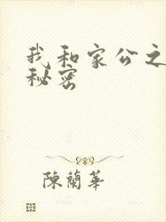 我和家公之间的秘密