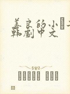 善良的小峓子2韩剧中文