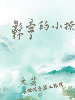 影帝的小撩精太野了