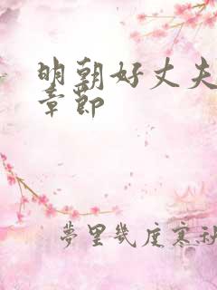 明朝好丈夫最新章节