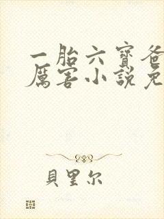 一胎六宝爸比好厉害小说免费阅读