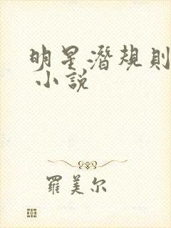 明星潜规则之皇 小说