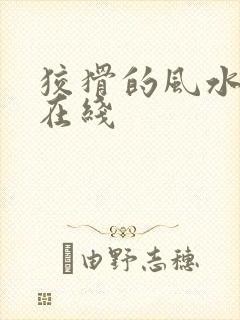 狡猾的风水相师在线