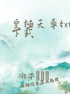 皇极天尊txt下载