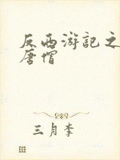 反西游记之混混唐僧