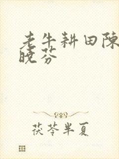 老牛耕田陈雪杨晓芬