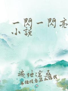 一闪一闪亮星星小说