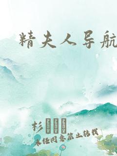精夫人导航
