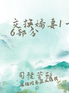 交换娇妻1一36部分