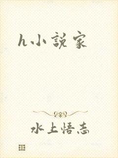 h小说家